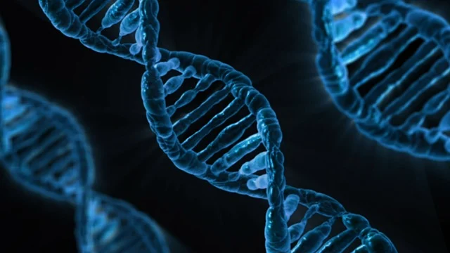 領(lǐng)先科技聚氨酯雙組份催化劑，助力解決雙組份體系的固化難題